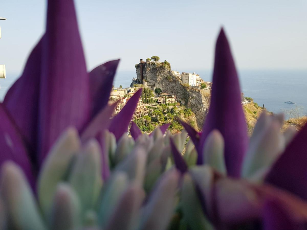 Casa Vacanze Monte Venere كاستلمولا المظهر الخارجي الصورة
